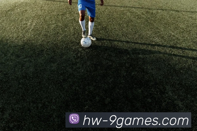 多媒体互动体验